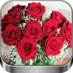 flores y rosas rojas imágenes android application logo